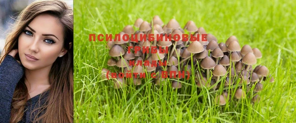 ALPHA-PVP Абдулино